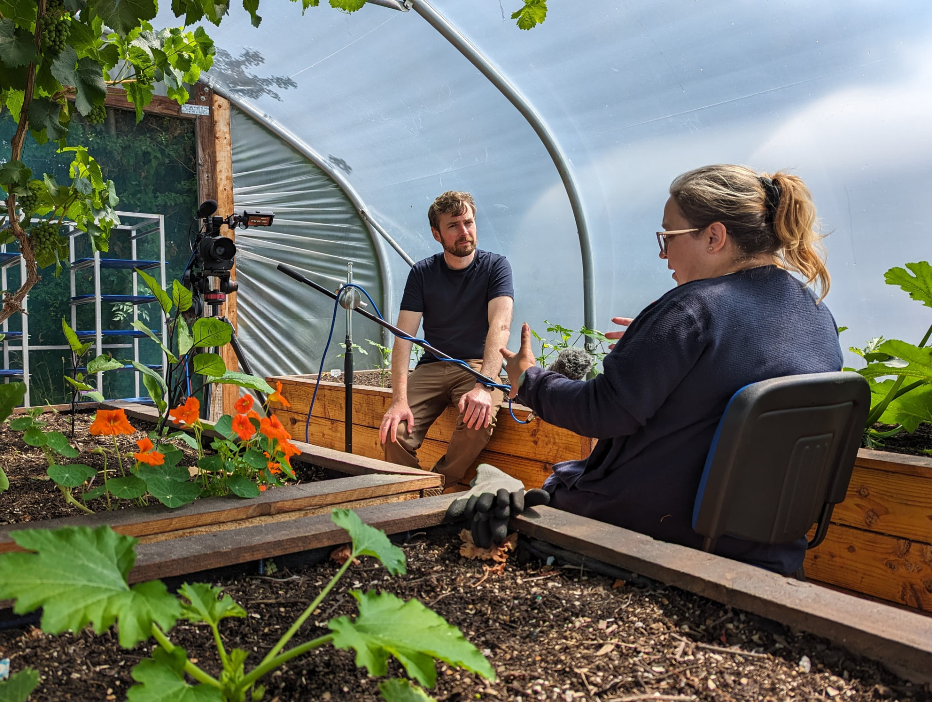 Two people talking during a filmed interview inside a polytunnel garden